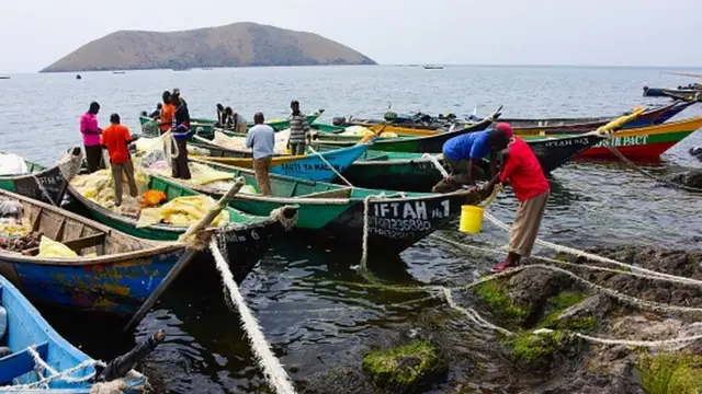 Des pêcheurs sur des pirogues près de l'île Migingo sur le lac Victoria.