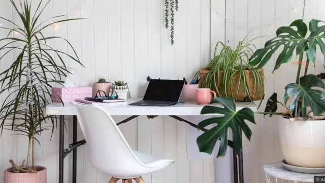 자연을 통해 얻은 신체적·정서적·인지적 반응을 작업환경과 긍정적으로 연결하는 것이 바이오필릭 디자인의 목표다