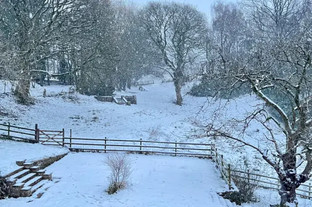 دا هم د ورکیسټر شئیر او لیکې سیمو تصویر