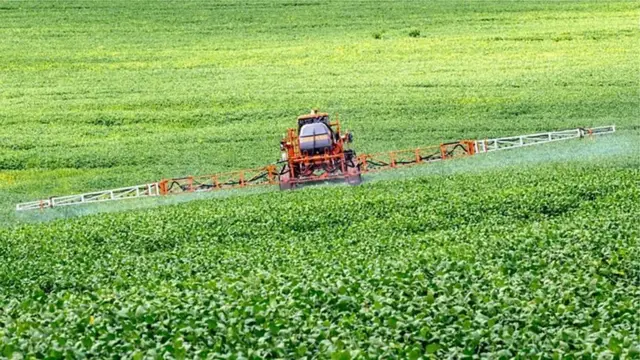 La culture intensive du soja en Amérique du Sud fait partie de la chaîne alimentaire britannique.