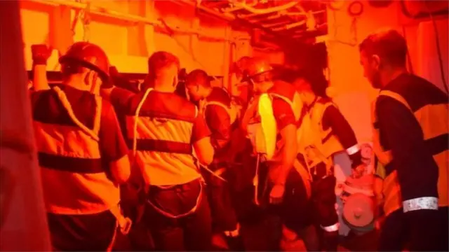 بجرے کو بچانے کی کوششیں