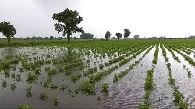 પ્રતીકાત્મક તસવીર