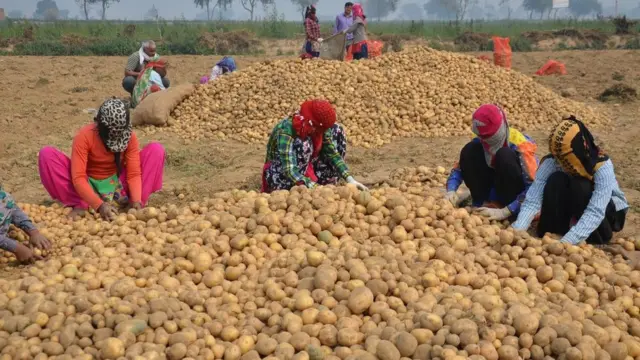 விவசாயிகள் வலியுறுத்தும் எம்.எஸ். சுவாமிநாதனின் அறிக்கை என்ன கூறுகிறது?