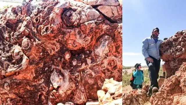 પિલબરા લાગે રણ જેવો પ્રદેશ પરંતુ અહીં વહેતા ઝરણાં, તેના કારણે બનેલા સરોવરો વગેરેને કારણે સાનંદાશ્ચર્ય થાય.