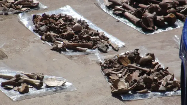 මන්නාරම සමූහ මිනී වළේ කාල නීර්ණය ගැන අර්බුදයක්