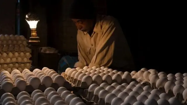 मुर्गी पालन