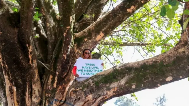 Ku wa gatatu, Phyllis Wamaitha yicaye ku ishami ry'igiti cyo mu bwoko bwa 'fig' cyo mu murwa mukuru Nairobi wa Kenya bivugwa ko kimaze imyaka 100, nyuma yuko we na bagenzi be b'impirimbanyi zirengera ibidukikije bakirokoye bagahagarika abategetsi bashakaga kugitema ngo hanyuzwe umuhanda.