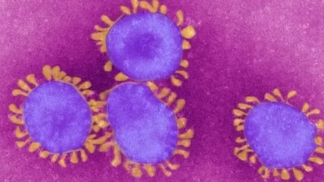 కరోనావైరస్