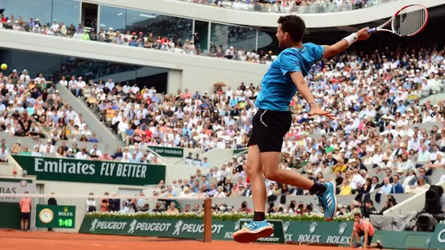 دامینیک تیم