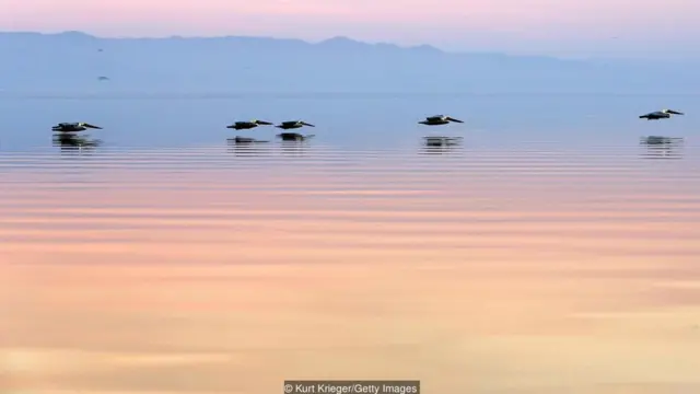 旅行，美國，加利福尼亞，索爾頓海，風情