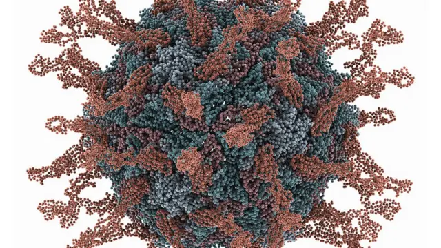 Модель вируса полиомиелита