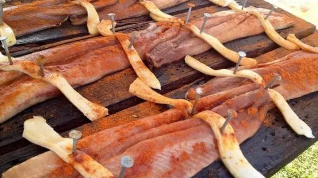 शैड मछली