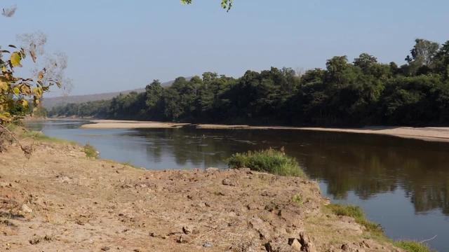 ఆసిఫాబాద్ అడవి