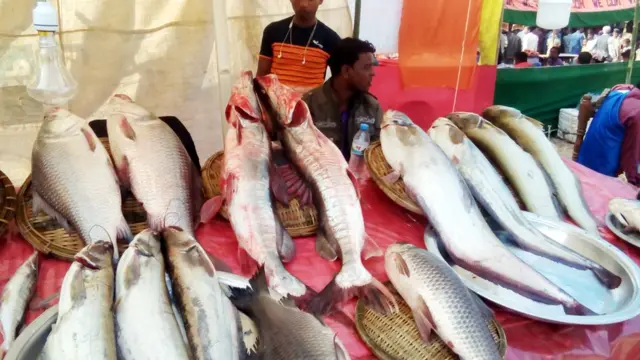 মৌলভীবাজার জেলার শেরপুরে মাছ মেলা