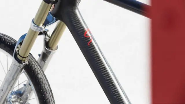 La bicicleta personalizada de Denise Mueller-Korenek.