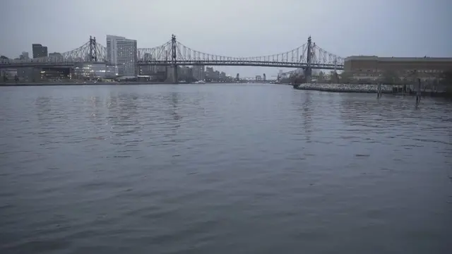 લોંગ આઇલૅન્ડ