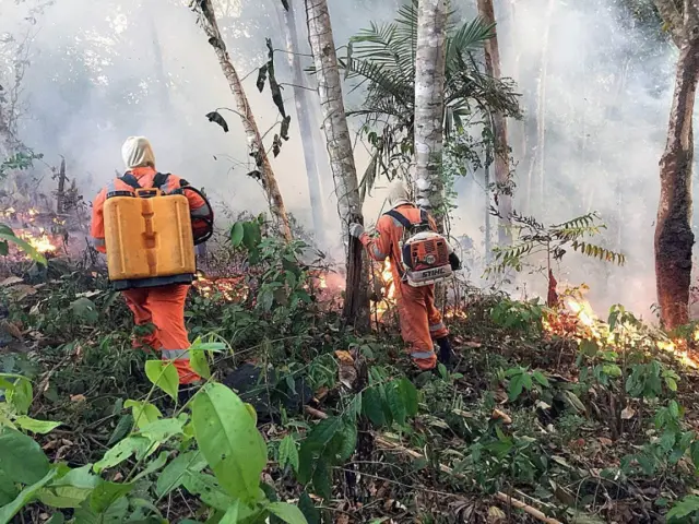 Bombeirosslots grátisPorto Velho combatem chamasslots grátisRondônia