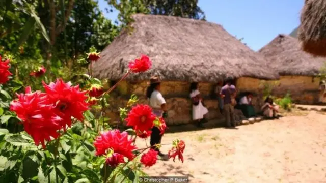 بعضی از اعضای جامعه آروآکو از بازگشایی سرزمین‌های خودمختار به روی گردشگری بومی و توانمندسازی مستقل اقتصادی حمایت می‌کنند