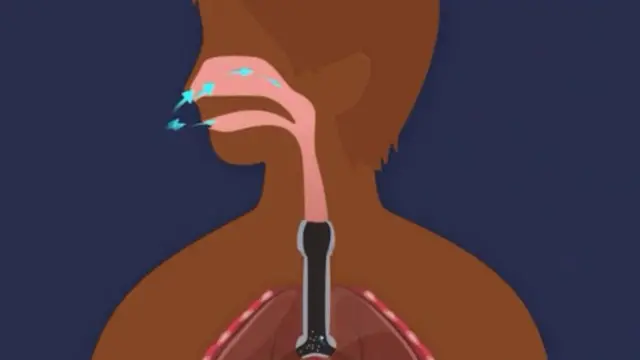 सास फेर्ने तरिका