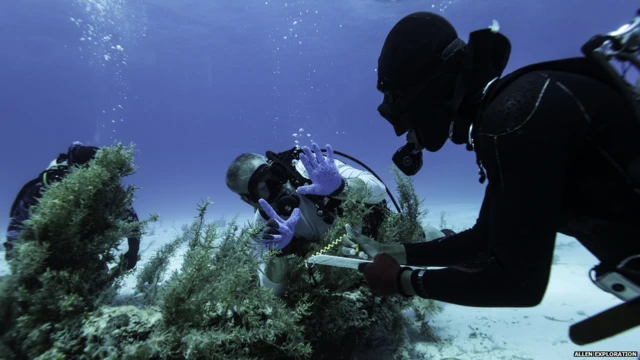 ਮਾਰਵਿਲਾਜ਼