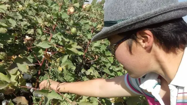 Замира Омората: таза азык-түлүк деген кол жеткис буюмдай болбошу керек