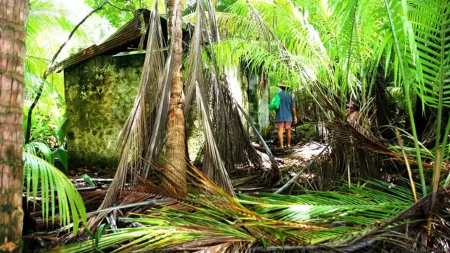 Những dấu tích bị bỏ hoang trên đảo.