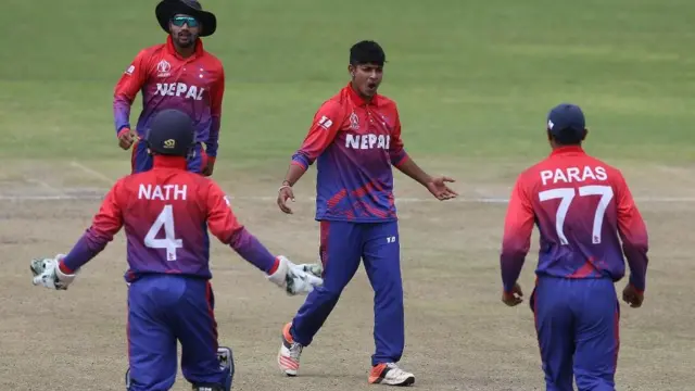 क्रिकेट