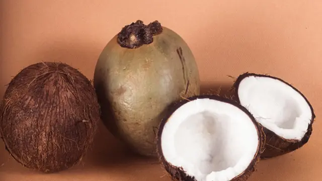 L'eau de coco contient des minéraux et des oligo-éléments essentiels que le corps peut perdre en transpirant