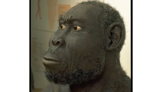 Awali, fuvu lilisemekana ni la spishi wanaoitwa Homo habilis, ambaye ndiye aliyekuwa kizazi cha zamani kabisa cha binadamu.