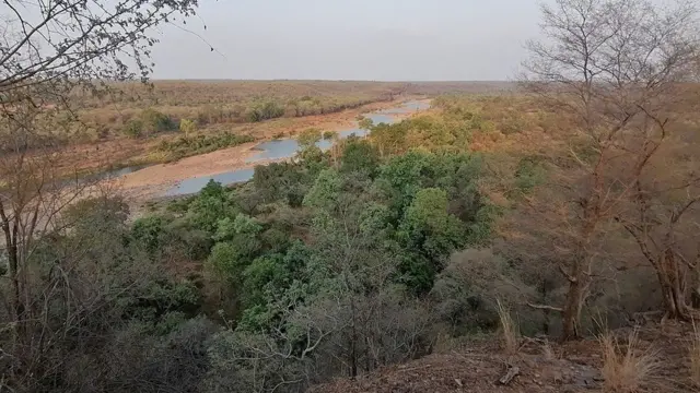 افریقہ کے چیتوں کو انڈیا کے کونو نیشنل پارک میں رکھا جائے گا