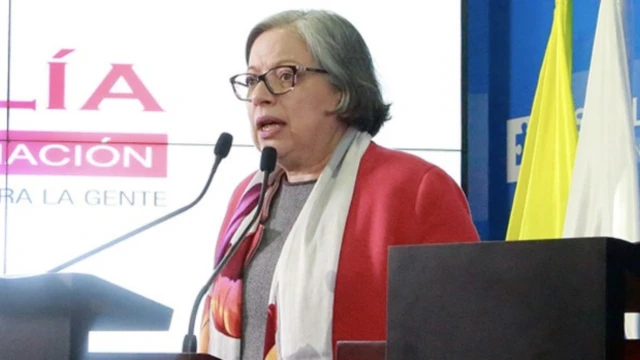 Vicefiscal en conferencia