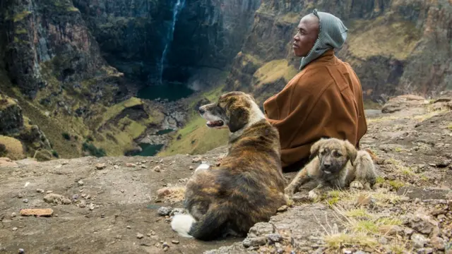 Les animaux de compagnie partagent les mêmes espaces dans la maison et sont de plus en plus proches de leurs propriétaires.