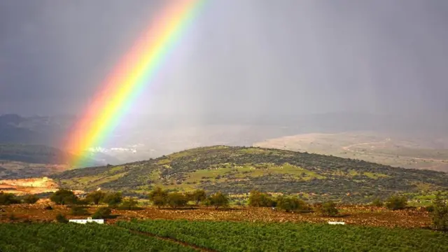 خمس أساطير وحقائق عن "حمى القش"