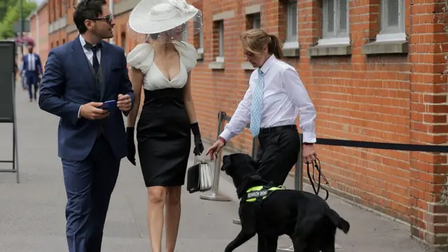 женщина-полицейский с розыскной собакой и гости Аскота