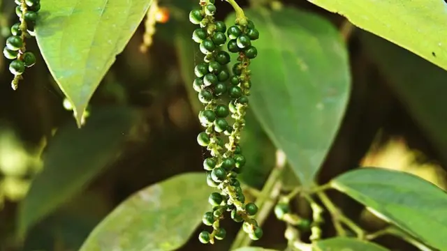 மாதிரி படம்