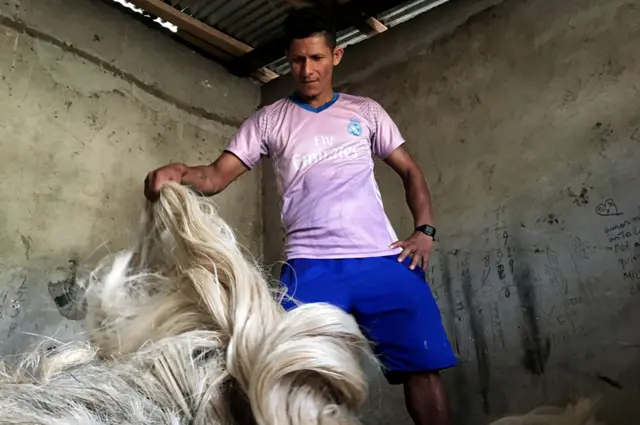 Un trabajador muestra las fibras de abacá