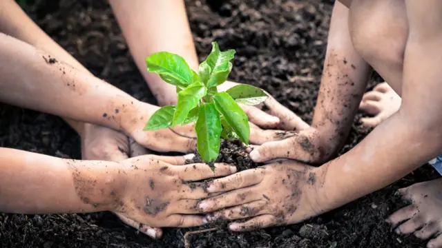 Crianças com as mãos sujas, plantando uma planta