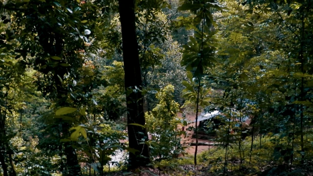 चेरिया वेलुता