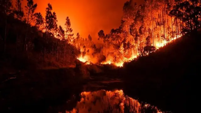 காட்டுத் தீ