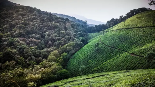 world photography day