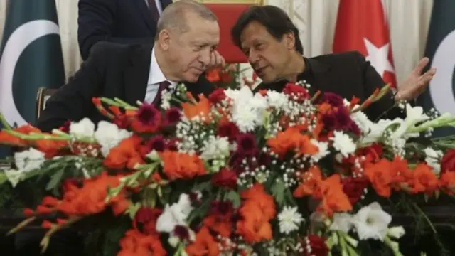 اردوغان اور عمران خان