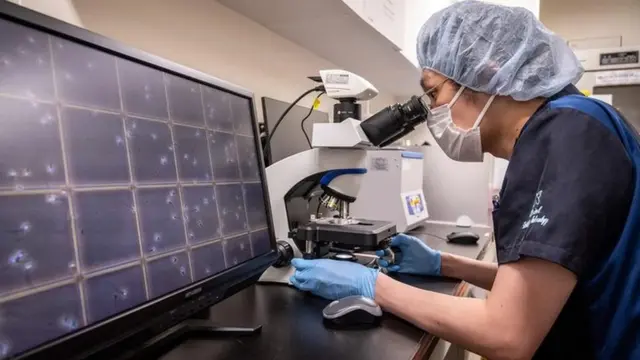 정자를 연구하는 연구원