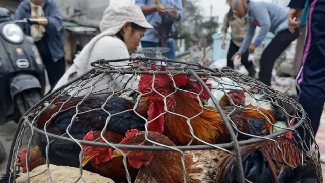 Tối 30 Tết, Cao Mỹ Duyên đi giao gà cho khách nhưng rồi không bao giờ quay trở lại (Hình minh họa)
