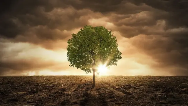 "எனது கனவுகளை களவாடிவிட்டீர்கள்?": பருவநிலை மாற்றம் தொடர்பாக க்ரேடாவின் உரை