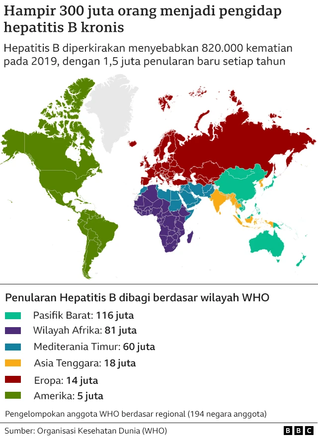 wilayah penularan hepatitis b