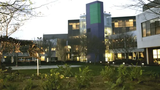 ক্যালিফোর্নিয়ায় গুগলের কার্যালয়েরে ভেতরে