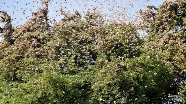 જયપુરની તસવીર