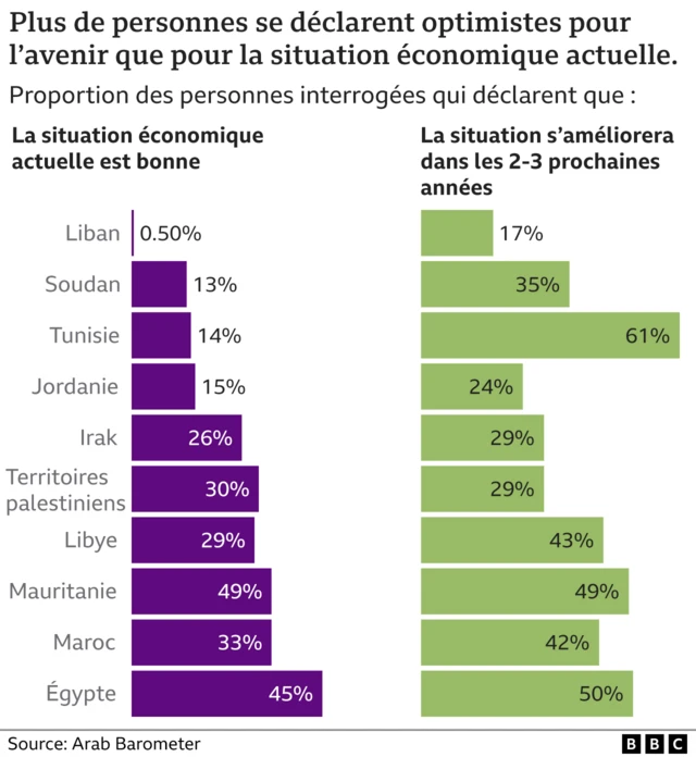 Opinion population arabe sur l'avenir