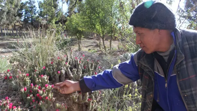 Héctor Vélez en la Granja Ventilla