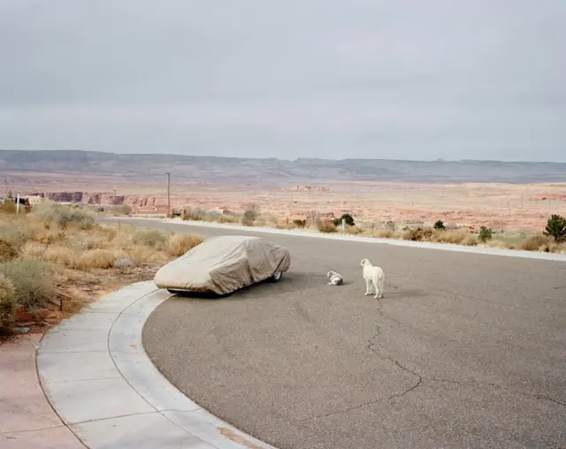 A covered car with two dogs in a lay-by.